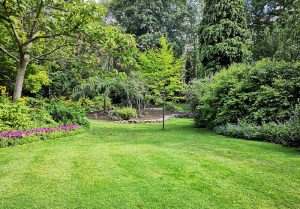 Optimiser l'expérience du jardin à Shoelcher