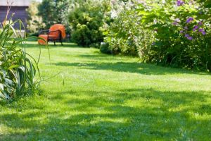 travaux jardin et paysage Shoelcher